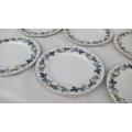 A set of 6 vintage Royal Doulton plates in the Burgundy pattern ( 1959 - 1981 )