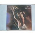 Iggy Pop - New Values  ( scarce 1979 SA released LP )