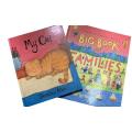 MY CAT - JONATHAN ALLEN - BIG BOOK OF FAMILIES - CATHERINE & LAURENCE ANHOLT`S - 2 BOOKS FOR R150.00