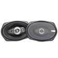 Ice Power - IPS-699 5-Way 6x9 Speakers