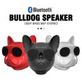 Fancy Bull Dog Bluetooth Speaker
