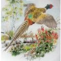 BIRDS OF THE COUNTRYSIDE, COLLECTORS LARGE  BONE CHINA RACK PLATE, ENGLAND,