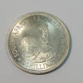 1950 South Africa five shilling crown - Uncirculated and scarce - Excellent coin