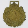 1902 King Edward coronation medallion - unusual and scarce