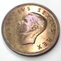 1951 SA Union Penny - Proof - Toned