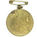 South Africa 15 years republic medallion