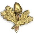 Great Britain South Northamptonshire Hussars cap badge - BBA 366