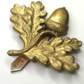 Great Britain South Northamptonshire Hussars cap badge - BBA 366