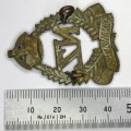 New Zealand Expeditionary force WW1 cap badge
