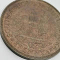 South Africa 1923 half penny red - uncirculated