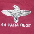 SA Army 44 Parachute regiment veterans t-shirt - Size Large