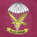 SADF 1 Parachute battalion Paratrooper Veteran 1961-2011 t-shirt - Size Large
