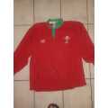 Rugby Match Jersey : Wales no 21 (