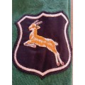 Springbok Jersey: 1906 Limited Edition with number Replica