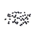 Peyote - Lophophora williamsii  - 10 seeds