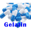 Empty capsules - gelatin size `0` - Blue / White - 1000 capsule pack