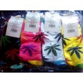12 Pack Ladies Multi Colour Quality Stylish Long Ankle Socks ~ CrazE Weekend Auction !