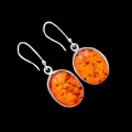 NEW ARRIVAL- BALTIC AMBER IN SOLID .925 STERLING SILVER  EARRINGS