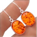 NEW ARRIVAL- BALTIC AMBER IN SOLID .925 STERLING SILVER  EARRINGS