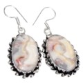 Beautiful Crazy Lace Agate Gemstone .925 Sterling Silver Earrings
