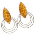 Natural Fossil Coral Set in Solid 925 Sterling Silver Earrings