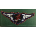 BDG Hayabusa wings badge patch  LARGE 29.5CM X 13CM