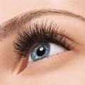 THE BRUSH ON LASH EXTENSIONS - USE JUST LIKE MASCARA