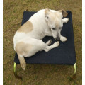 XLarge Hammock Style Raised Dog Beds