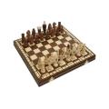 Brains Chess Magnetic Board