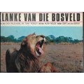 KLANKE VAN DIE BOSVELD (LP RECORD)