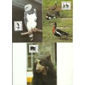 East Germany - 1985 Endangered Species Complete Set of 5 Maximum Cards