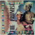 The New Promise - Afrika Borwa LP Vinyl Record