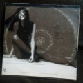 Carly Simon - Playing Possum LP Vinyl Record