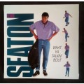 Dennis Seaton - What Ya Talkin` Bout LP Vinyl Record