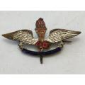 South African Airforce WWII 2 Wing Squadron badge.