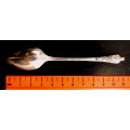 COLLECTABLE SPOON