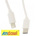 Andowl Type-C To Lightning Charging Cable