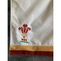 Wales Rugby player issue match shorts - Under Armour - Size XXXL