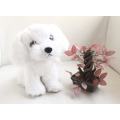 NEW Plush White Dog Puppy Soft Stuffed Animal Toy 23cm Tall
