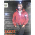 James Dean American Legend Collectors Doll