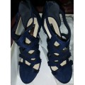 Shoes Royal Blue Heels