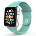 Sport Band for Apple Watch 38mm & 40mm (M/L), Silicone Strap Replacement Bands Apple Watch - MINT