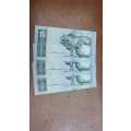 Ten Rand Notes CL Stals 1990