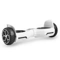 6.5 Inch Hoverboard ( Variety of Colours)