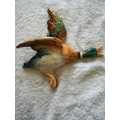 Beswick Flying Ducks Wall Plaques - Set of 5