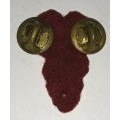 SA Medical Services Technical and Administration Services Breast Badge
