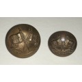 Early Post Boer War Imperial Light Horse Buttons