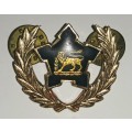 SA Navy Five Year Service Badge