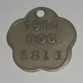 Antique 1916 City of Cape Town Dog License Tag