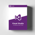 Visual Studio 2019 professional